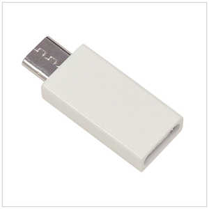 ラスタバナナ 変換アダプタ 充電 転送 メス USB TypeC→micro USB オス ホワイト RBHE281