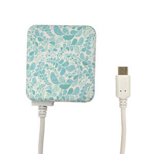 X^oii micro USB P[ǔ^AC[d 2.1A 1.6m Tt@CAEG[ R16ACM2A01SLR