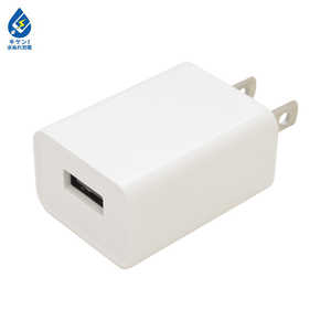 ラスタバナナ AC充電器 USB Aポート 1A RACA1A01WH