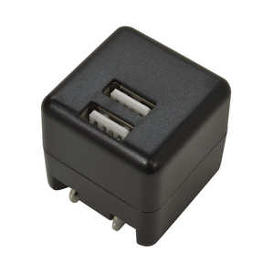 ラスタバナナ AC充電器 USB A×2ポート 2.4A ブラック RAC2A2A01BK