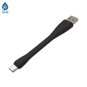 ラスタバナナ Type-C USBケーブル 3.0A 9cm ブラック R01CAAC3A01BK