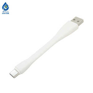 ラスタバナナ Type-C USBケーブル 3.0A 9cm ホワイト R01CAAC3A01WH