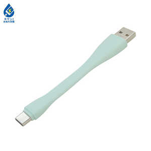ラスタバナナ Type-C USBケーブル 3.0A 9cm ライトブルー R01CAAC3A01LB