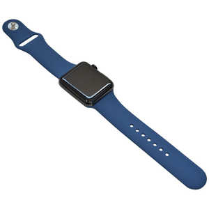 ラスタバナナ Apple Watch用 シリコンベルト スタンダード (42/44mm) ブルー  RBLAW4401BL