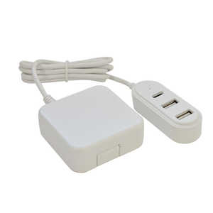 ラスタバナナ AC充電器 2m延長 USB A×2+Type-C×1ポート 3.4A　ホワイト R20AC2A1C3A01WH