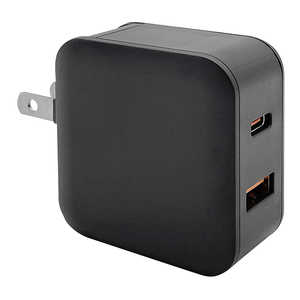 ラスタバナナ PD20W QC3.0 AC充電器 Type-C×1、USB-A×1 USB Power Delivery対応 RACCA20W01BK ラスタバナナ PD20W QC3.0 AC充電器 Type-C×1、USB-A×1 USB Power Delivery対応 RACCA20W01BK
