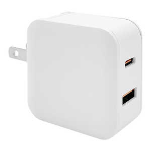 ラスタバナナ AC充電器Type-C PD20W USB-A RACCA20W01WH ラスタバナナ AC充電器Type-C PD20W USB-A RACCA20W01WH