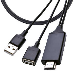 ラスタバナナ A to HDMI iPhone iPad用ミラーリング 2m ブラック R20HEAH01BK