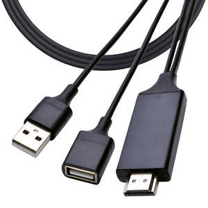 ラスタバナナ A to HDMI iPhone iPad用ミラーリング 3m ブラック R30HEAH01BK