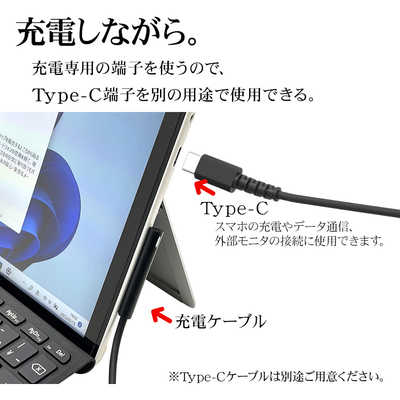 ラスタバナナ Surface Go2 Go3 充電コネクタ用 ケーブル タイプC