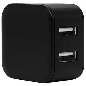 ラスタバナナ AC充電器 USB A*2ポート 2.4A BK ブラック RAC2A2A03BK ラスタバナナ AC充電器 USB A*2ポート 2.4A BK ブラック RAC2A2A03BK