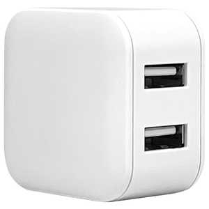 ラスタバナナ AC充電器 USB A*2ポート 2.4A WH ホワイト RAC2A2A03WH ラスタバナナ AC充電器 USB A*2ポート 2.4A WH ホワイト RAC2A2A03WH