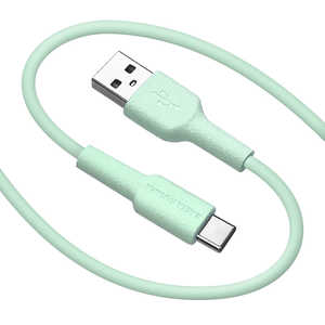 ラスタバナナ USB A to Type C cable やわらか 1.5m ライトグリーン R15CAAC3A02LGR