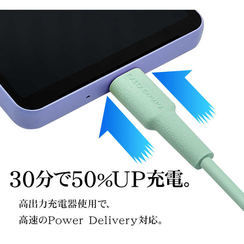 ラスタバナナ ラスタバナナ USB C to Type C cable やわらか 1.5m ブルー ［USB Power Delivery対応］ R15CACC3A01BL R15CACC3A01BL