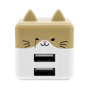 饹Хʥ Фˤ㡼 ACŴ USB A2ݡ 2.4A  RAC2A2A02KSR