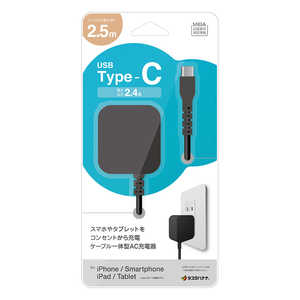 ラスタバナナ AC充電器 ケーブル直付Type-C 2.4A 2.5m BK ブラック R25ACC2A03BK ラスタバナナ AC充電器 ケーブル直付Type-C 2.4A 2.5m BK ブラック R25ACC2A03BK