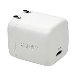 X^oii calon AC[d Type-C|[g PD20W m1|[g /USB Power DeliveryΉn zCg RACC20W05WH