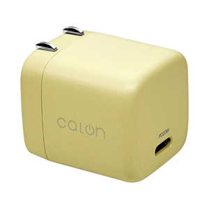 X^oii calon AC[d Type-C|[g PD20W m1|[g /USB Power DeliveryΉn CgCG[ RACC20W05LYL