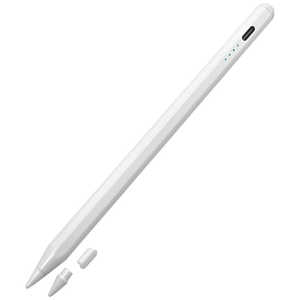 ラスタバナナ iPad 専用 タッチペン タイプC 充電式 パームリジェクション 誤作動防止 傾き検知機能 高感度 軽量 細部まで描き込める ペアリング不要 Type-C typ