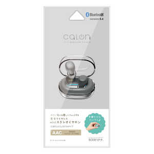 ラスタバナナ 完全ワイヤレスイヤホン チャコールグレー RTWS08CGRY