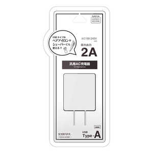 ラスタバナナ 充電器 ACアダプター USBポート タイプA 2アンペア 汎用 コンセント AC USB Type-A typea 2A コンパクト 理美容家電 ヘアアイロン シェーバー ホワイト RACA2A04WH
