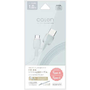ラスタバナナ USB-A ⇔ USB-Cケーブル ［充電 / 転送 / 1.0m / USB2.0］ ［USB-A ⇔ USB-C］ スモーキーブルー R10CAAC3A07SBL