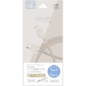���X�^�o�i�i USB-C �� USB-C�P�[�u�� �m�[�d / �]�� / 1.0m / PD60W / USB2.0�n �mUSB-C �� USB-C�n �g�[�v R10CACC3A09TA