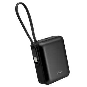 ラスタバナナ 10000mAh 超小型モバイルバッテリー A×1 C×1 Cケーブル×1 PD20W BK ［USB Power Delivery対応 / 2ポート］ ブラック RLI100C20W06BK