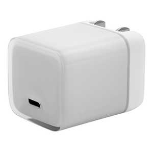 ラスタバナナ AC充電器 Type-C 20W クリアホワイト RACC20W07WH