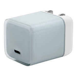 ラスタバナナ AC充電器 Type-C 20W クリアブルー RACC20W07BL