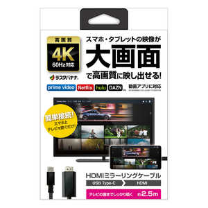 ラスタバナナ スマホ用 ミラーリングケーブル 4K フルHD ［2.5m / HDMI⇔Type-C］ ブラック R25CACH03BK