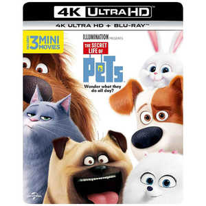 NBC˥С ڥå 4K ULTRA HD  Blu-rayåȡ (Ultra HD ֥롼쥤ե)