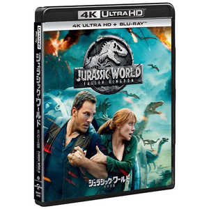 NBCユニバーサル ジュラシック・ワールド/炎の王国 4K ULTRA HD+ブルーレイセット NBCユニバーサル ジュラシック・ワールド/炎の王国 4K ULTRA HD+ブルーレイセット