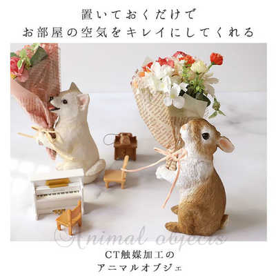 ☆くまねこ様☆専用出品商品です！ 丸和貿易 CT触媒 ミニョンブーケ ねこクロネコ CTBOUQUET の通販