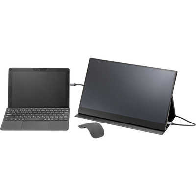 プリンストン PCモニター (タッチパネル) ブラック [15.6型 /フルHD 