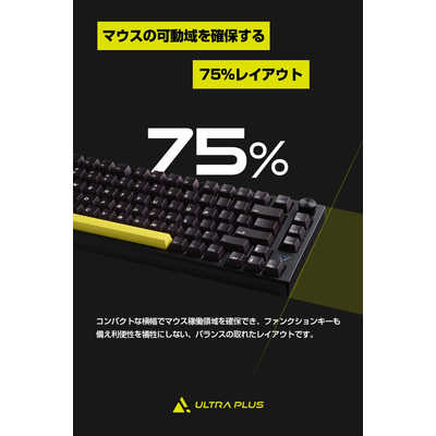 プリンストン ガスケットマウント搭載 ゲーミングメカニカルキーボード 