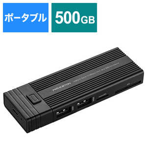 プリンストン 4in1 カードリーダー機能付M.2 500GB内蔵SSD PRD-PS500U