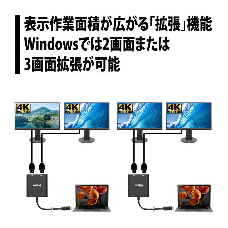 プリンストン プリンストン HDMI 4K×2ポート出力可能 Type-C変換アダプター PUD-PDC1H2 PUD-PDC1H2