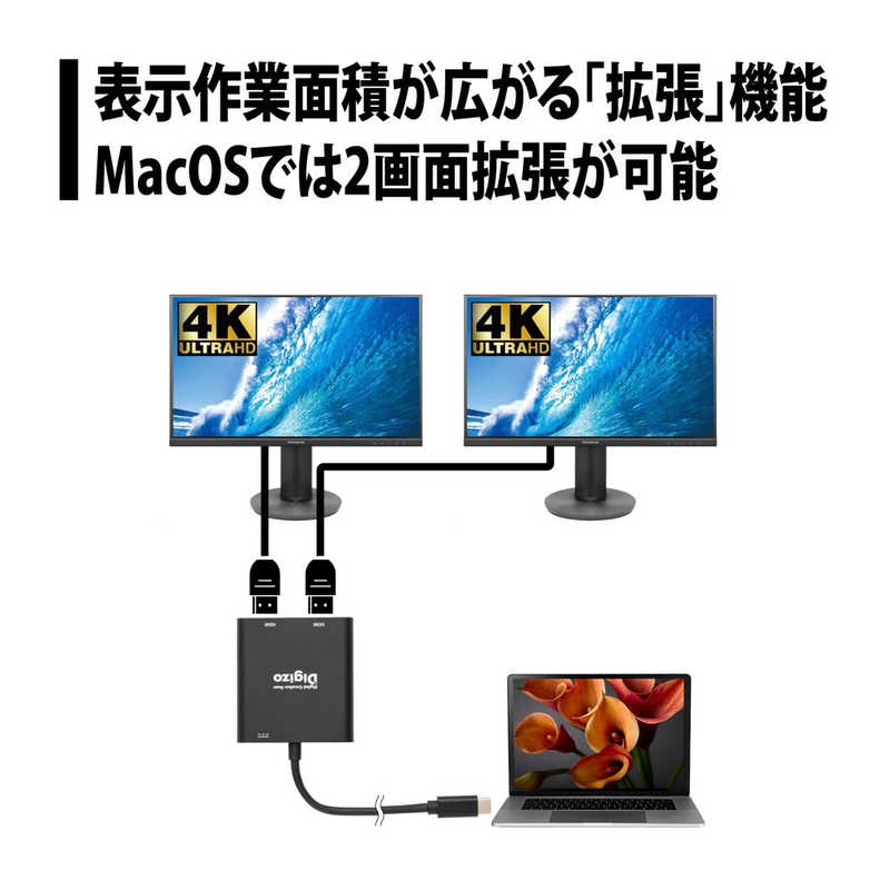 プリンストン プリンストン HDMI 4K×2ポート出力可能 Type-C変換アダプター PUD-PDC1H2 PUD-PDC1H2