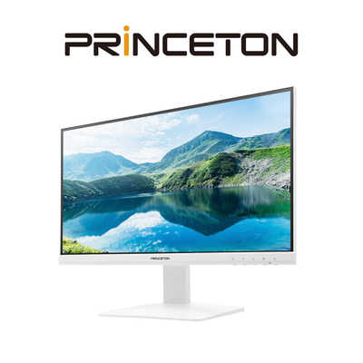 PRINCETON 21.5型ワイド画面液晶カラーディスプレイ