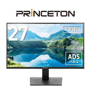 モニタサイズ:27型(インチ) プリンストン(Princeton)のPC