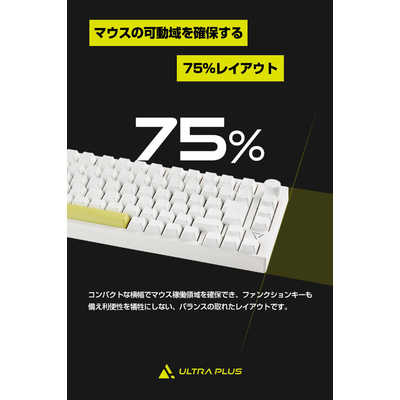 プリンストン ガスケットマウント搭載 ゲーミングメカニカル