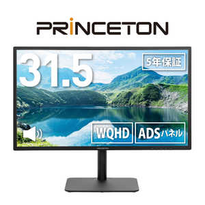 ץ󥹥ȥ  ٥ б ADS ѥͥ վǥץ쥤 31.5 /WQHD(25601440) /磻ɡ PTF-B321QS-BK