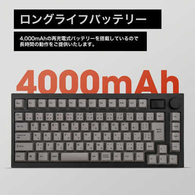 MISTEL キーボード Barocco Mistel MD750 Delight JIS (日本語配列