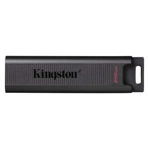 キングストン 256GB USB3.2 Gen 2 DataTraveler Max DTMAXR/256GB キングストン 256GB USB3.2 Gen 2 DataTraveler Max DTMAXR/256GB