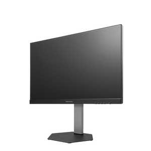 プリンストン 120HzADSパネル USB Type-C搭載 フルHD液晶ディスプレイ 多機能スタンド ［23.8型 / フルHD(1920×1080) / ワイド］ ブラック PTF-B242WS-BK