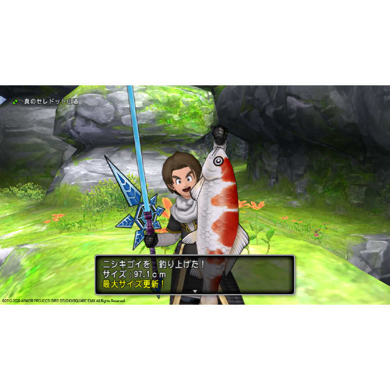 スクウェア エニックス Ps4ゲｰムソフト ドラゴンクエストx オｰルインワンパッケｰジ Version1 5 Pljm の通販 カテゴリ ゲーム スクウェア エニックス 家電通販のコジマネット 全品代引き手数料無料