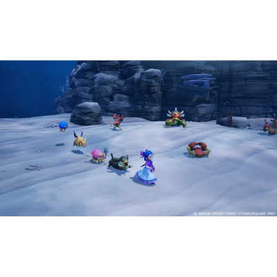 スクウェア・エニックス Switch2ゲームソフト【早期購入特典付き