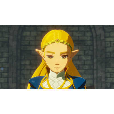 Koei Tecmo Games - ゼルダ無双 厄災の黙示録 Switch Nintendo Switchソフト】ゼルダ無双 厄災の黙示録 | Toys”R”Us
