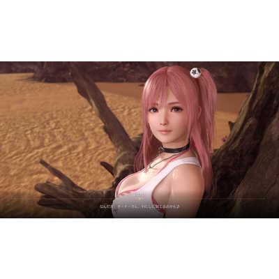 新品未開封 PC版 Venus Vacation PRISM プレミアムボックス コーエーテクモゲームス オリ特付【即納可能】【新品】【PC